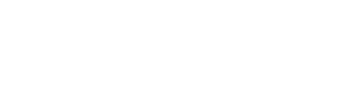 Les Services NMS